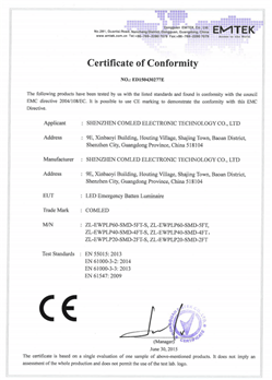 CE-LED emergency batten light -SMD